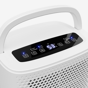 12L Dehumidifier with Built-in Humidistat